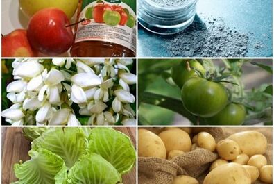 People's remedies for the treatment of varicose veins